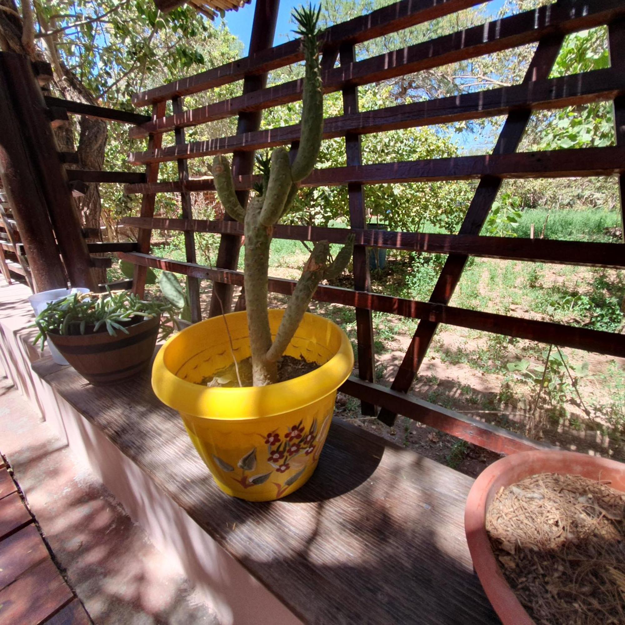 Refugio Don Natu Villa San Pedro de Atacama Exterior foto